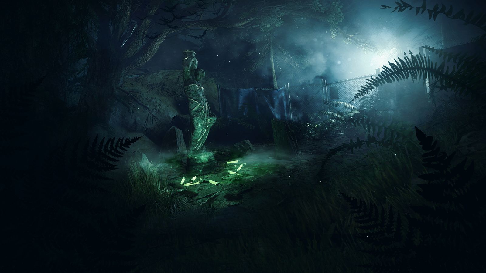 The Forest map